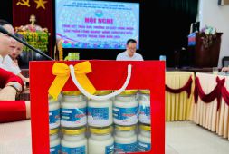 Sữa chua tổ yến