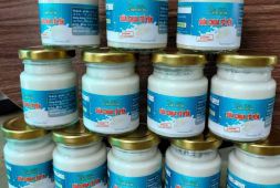 Sữa chua tổ yến